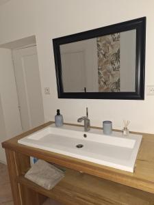 a bathroom sink with a large mirror above it at Cozy countryside apartment in Moriville