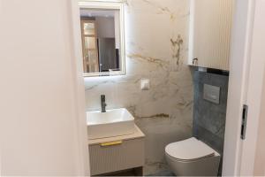 a bathroom with a sink and a toilet and a mirror at Apartament Daisy Pszczyna Centrum in Pszczyna +16 photos