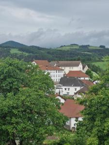a group of buildings in a town with trees at Hotel Rural Irati selva de Irati in Jaurrieta