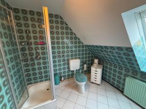a small bathroom with a shower and a toilet at Gemütliche Ferien oder Monteurs Wohnung in Wallsbüll