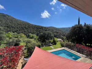 a view of a swimming pool and a mountain at Les Brugas de Camias in Saint-André-de-Majencoules