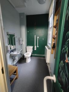 ein Badezimmer mit Toilette und einer grünen Wand in der Unterkunft Kington Accommodation in Kington + 23 Fotos