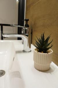 a plant in a holder sitting on a bathroom sink at Suite Home Reichenhall in Bad Reichenhall +25 photos