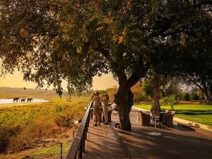 a group of people standing on a wooden walkway under a tree at Buckler's Africa Lodge Kruger Park in Komatipoort