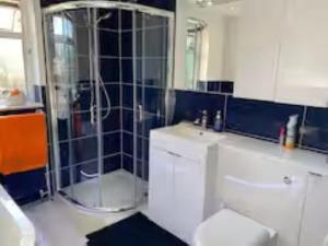a bathroom with a shower and a toilet and a sink at Double room in Reading in Earley