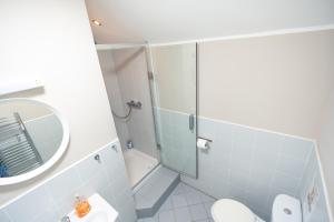 a bathroom with a shower and a toilet and a sink at Alensgrove Cottages #2 in Leixlip +34 photos