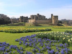 a field of flowers with a castle in the background at 1 Bed in Alnwick oc-94380 in Embleton