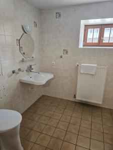 a bathroom with a sink and a toilet and a mirror at Penzion Pupík in Modrava +19 photos
