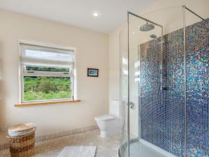 a bathroom with a shower and a toilet at Diamond Cottage in Ballyconneely +17 photos