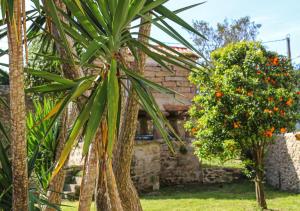 a house with a palm tree in the yard at Hospedium Hotel Barómetro de Camariñas in Camariñas