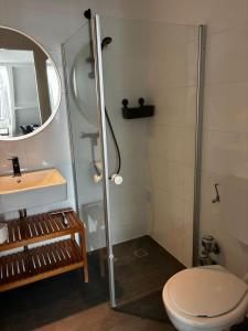 a bathroom with a shower and a toilet and a sink at Backboard in Tossens