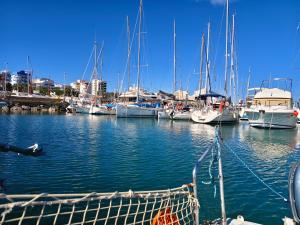 a group of boats docked in a harbor at Jack Sparrow in Puerto de Gandía