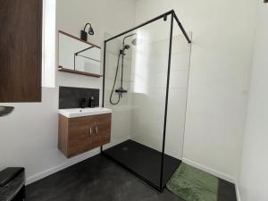 a bathroom with a shower and a sink at L' Ancienne Ecole du Morvan in Larochemillay +53 photos