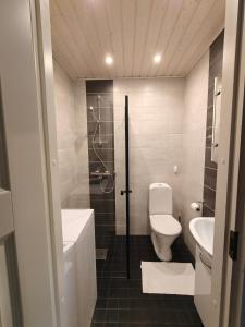 a bathroom with a toilet and a shower and a sink at Majoitus Eura in Kauttua