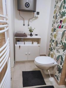 a bathroom with a toilet and a sink at Lilibella apartman in Miskolc +8 photos