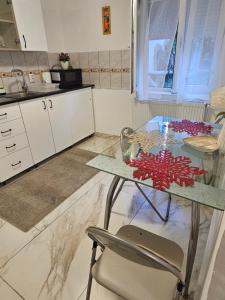 a kitchen with a glass table and a chair at Studio Superior Iris in Baile Felix