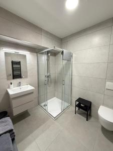 a bathroom with a shower and a sink and a toilet at Penzion Klas in Měřín