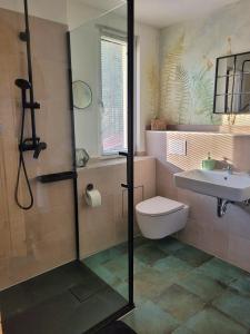 a bathroom with a shower and a toilet and a sink at Ferienhaus Rasselbock in Waltershausen