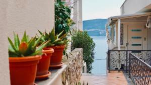 a row of potted plants on a wall with a view of the water at Villa Tex in Neum