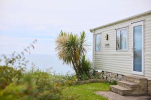 a house with a palm tree next to the ocean at Lower Cliff 19 in Easton