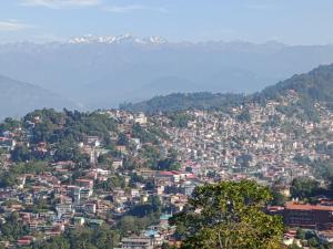 a view of a city with houses on a hill at Duke's RestHome in Kalimpong