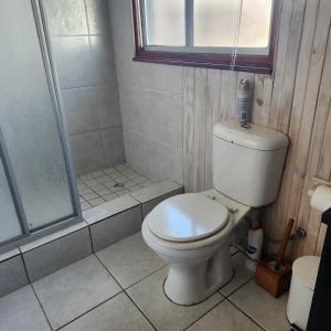 a bathroom with a toilet and a shower at 51onStirling in De Kelders
