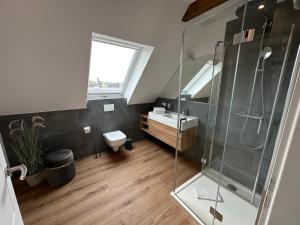 a bathroom with a shower and a toilet and a sink at StrandBerg's Onkel Tommys Hütte in Braunlage +15 photos