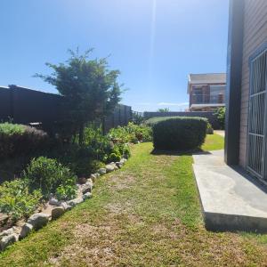 a garden next to a building with grass and bushes at 51onStirling in De Kelders