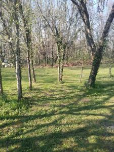 a field of grass with trees in the background at Lacour in Augignac