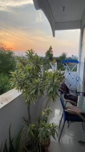 a balcony with two chairs and a plant at Green male rooms in Bhopal +20 photos