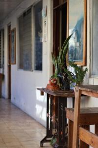 a table with plants on it next to a door at Casa I`X in Quetzaltenango +59 photos