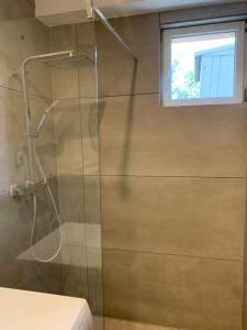 a shower with a glass door in a bathroom at Appartement in Bad Kreuznach
