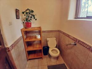 a bathroom with a toilet and a plant on a shelf at The Witch's Cottage in Urubamba