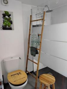 a bathroom with a wooden ladder next to a toilet at Ty Menic in Lesneven