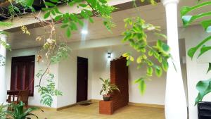 Zahrada ubytování Kassapa Home Stay