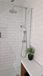 a shower in a bathroom with a plant on a counter at Rose Cottage Solway Self Catering in Cardurnock +23 photos