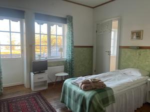 a bedroom with a bed and a tv and windows at Spa For Hjo in Hjo +11 photos