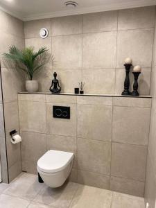 a bathroom with a toilet and a plant on a shelf at Workers Stay - Temporary House Stockholm in Rönninge +13 photos