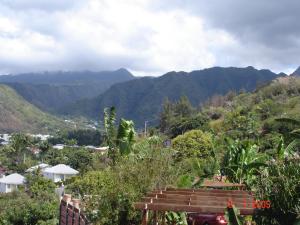 a view of a valley with mountains in the background at villa les Grenadines in Entre-Deux