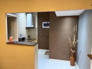 a kitchen with a counter and a vase with a plant at Casita de Ceci in Pilar