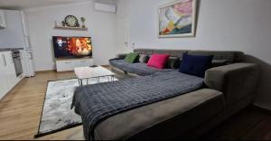 a living room with two couches and a tv at House Elbasan city center 3 in Elbasan