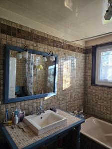 a bathroom with a sink and a mirror and a tub at Edelweiss in Moux-en-Morvan