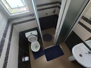 a small bathroom with a toilet and a sink at 4 Bedroom Apartment Near JKIA & SGR in Nairobi +21 photos
