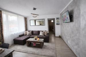 a living room with a couch and a table at Delux Flat Straja in Lupeni
