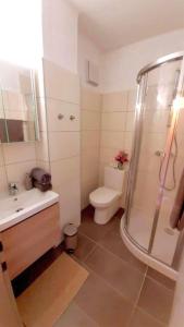 a bathroom with a shower and a toilet and a sink at Barbara's Zimmer im Zentrum in Velden am Wörthersee