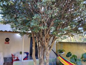 a tree in a yard with a table and chairs at Casinha Charmosa in Miguel Pereira