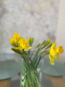 a vase filled with yellow flowers on a table at Martindales Yard in Kendal