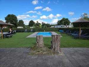 a pool with two logs in the middle of a yard at Eekhoorn 7 in Gasselte