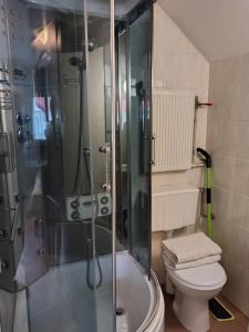 a bathroom with a toilet and a glass shower at Romeo i Julia in Łagów