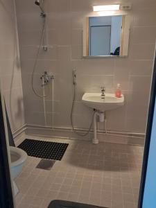 a bathroom with a shower and a sink at Koivulehto in Heinävesi +9 photos